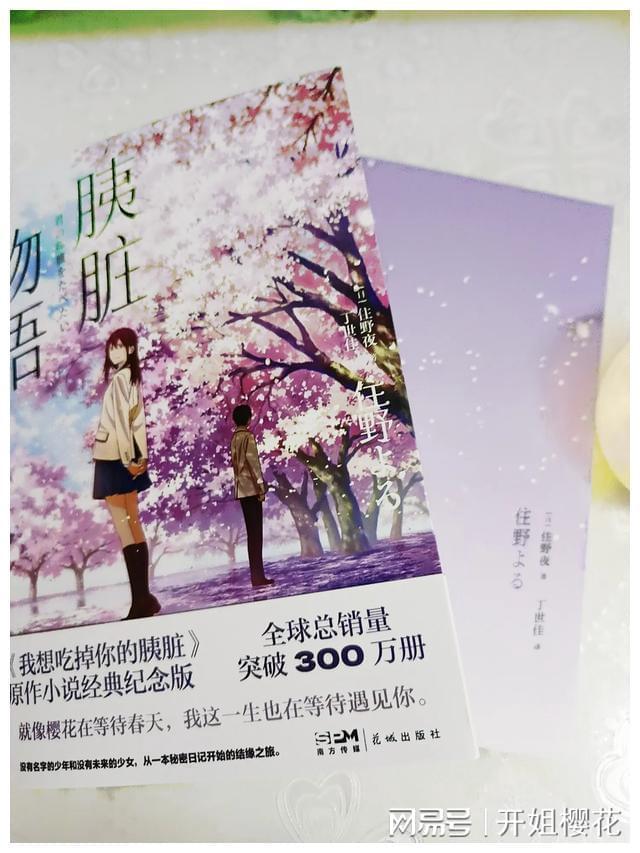 解惑蜗牛,西安美术学院和陕西师范大学哪个更好?教你问答