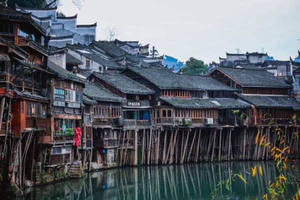 拯救蓝色小鸟